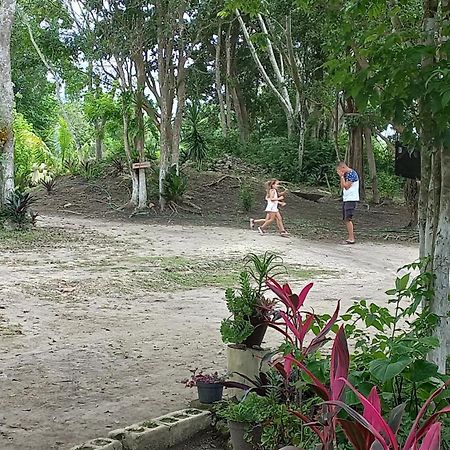 Otoch Beek Calakmul Bed & Breakfast ชีกันนา ห้อง รูปภาพ