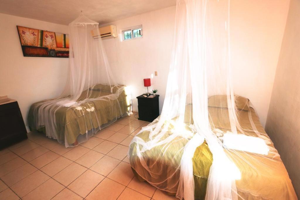 Otoch Beek Calakmul Bed & Breakfast ชีกันนา ห้อง รูปภาพ